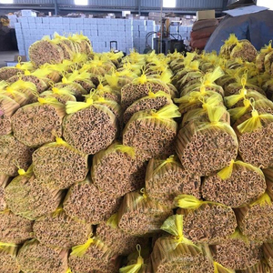 STICK/ ROLL CINNAMON 8cm UP - 10 % OPEN - CONTACT 0084968120420 - Product Image 1
