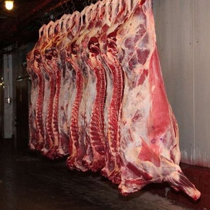 Carne de Res Entera Halal Orgánica Congelada IQF de Primera Calidad, Empacada al Vacío - Product Image 1