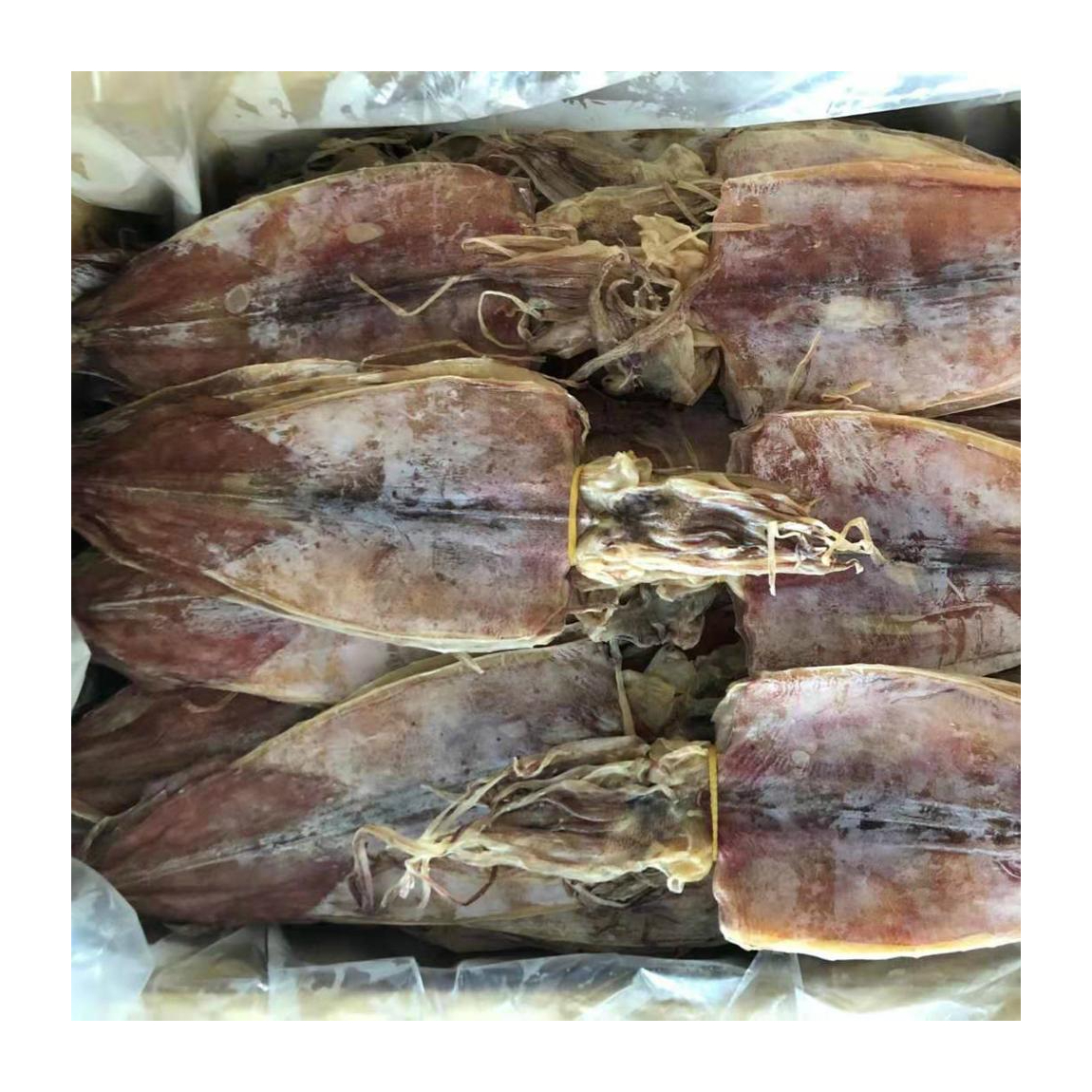 Лучшая цена, производство сушеных кальмаров из малайзии