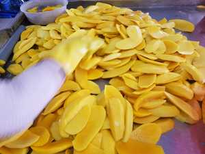 Fábrica de frutos secos, suministro de fábrica de Mango Seco barato-W.S 0084989322607 - Product Image 6