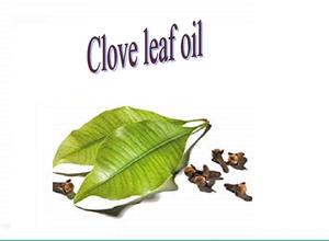 Aceite esencial puro orgánico certificado GMP de 10ml al por mayor, caja de cosméticos para la piel hidratante, aceite para el cabello con flor de menta y hoja de clavo - Product Image 2