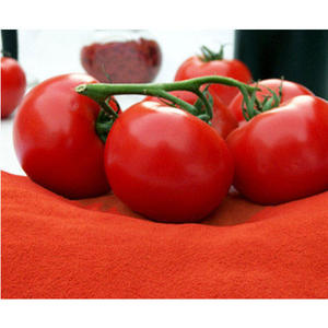 Poudre de tomate bio de qualité supérieure, séchée à l'air, en vrac, pour applications alimentaires : soupes, bouillons, sauces, ketchup, pizzas, pâtes - Product Image 1