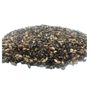 Indian Origin Herb Amla Seed - Export Quality Phyllanthus Emblica Seed - Factory Supply Amla Seed