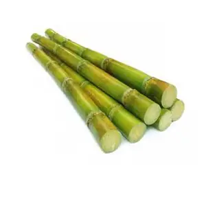 ORGANIC SUGARCANE IQF frozen sugarcane juice best seller from Vietnam cheap price