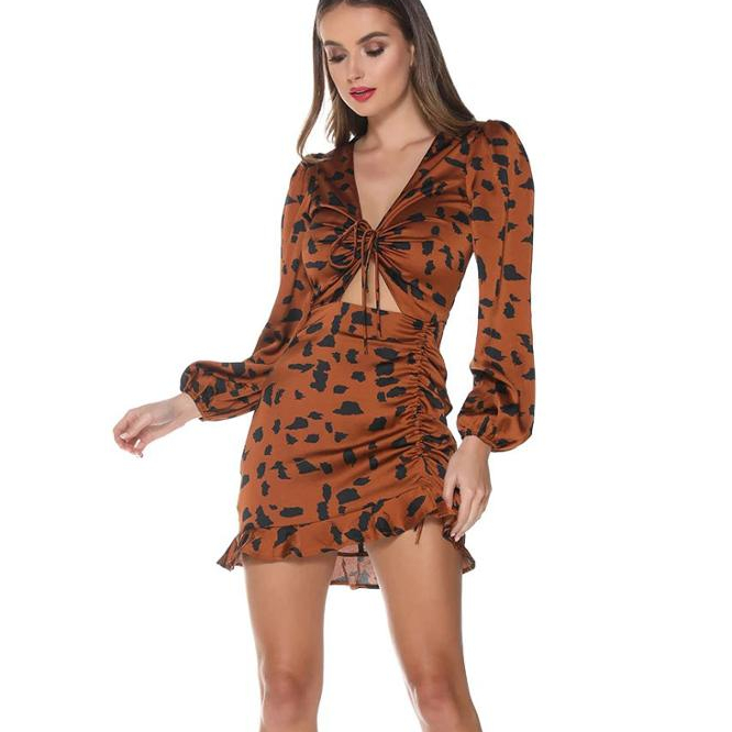Women's Dress Ruffled Leopard Pattern Long-sleeve A-line sexy V-neck Dress
