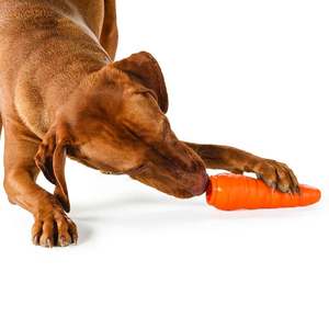 Juguete para Perro Hecho a Mano Magic Planet Dog Orbee-Tuff con Forma de Zanahoria - Product Image 1