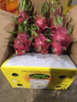 Vers Drakenfruit/Zeer Goedkope Prijs Vers Drakenfruit