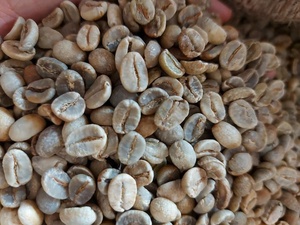 Grains de café prédéfinis, couleur de café vert, haricots séchés (ita + 8 797987481) - Product Image 3