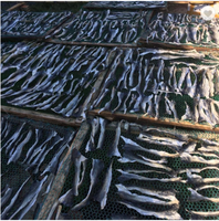 Miglior prezzo pelle di pesce essiccato/pelle di pesce salmone essiccato da Viet Nam/ambra + 84383004939