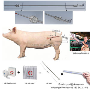 Kits de Inseminación Artificial Veterinaria, Pistola de Inseminación Artificial, Catéter para Vacas, Ovejas y Cabras <span class=keywords><strong>Boer</strong></span> - Product Image 3