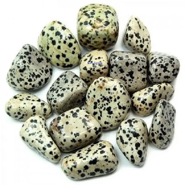 หินอัญมณี Dalmatian Jasper,หิน Tumbled แบบขายส่งหิน Tumbled ซื้อจาก N H Agate