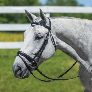 Bridon de dressage pour cheval de haute qualité, confortable, durable, en cuir, fabriqué en cuir indien, élégant équipement d'équitation anglais - Product Image 2