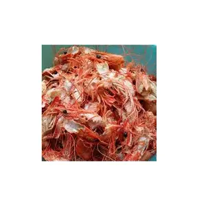 VERSORGUNG SHRIMP SHELL FÜR FEED / CONTACT TO 84 911 695 402
