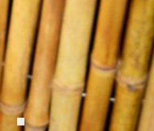 เหลืองอ่อน