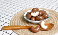 Noix de cajou légendaires du Vietnam, aromatisées, séchées et enrobées de chocolat - Certifiées ISO 22000:2018 - Vente en gros pour la saison de Noël en tube