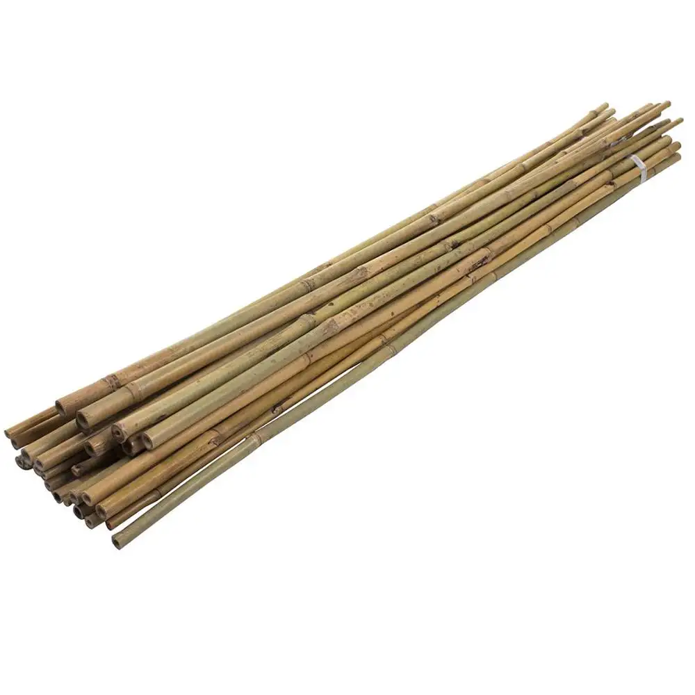 100% Natuurlijke Grondstoffen Effen Ruwe Bamboe Riet Palen Voor Hek Decoratie Leverancier Uit Vietnam