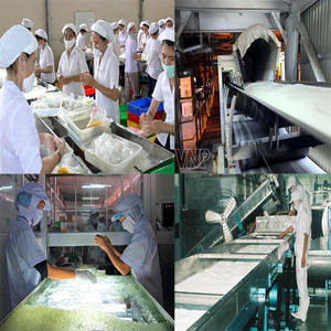 CREMA DE COCO DE ALTA CALIDAD DE VIETNAM - Product Image 2