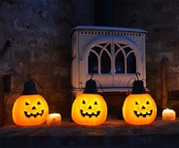 Fournisseur chinois, fabricant de lumières de jardin LED, lumières de fête d'Halloween, décoration extérieure, indice de protection IP65, 110V-240V, design personnalisé