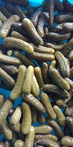 Concombres fermentés en saumure légumes conservés pour goût gastronomique - Product Image 4
