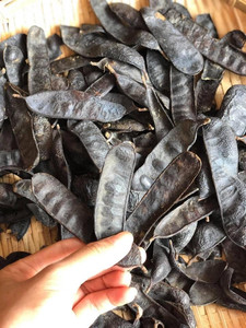 Criquet séché-Gleditsia - Product Image 4