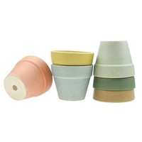 D'intérieur Succulentes Mini Pots En Céramique