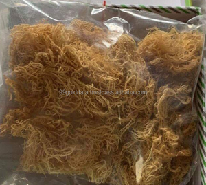 Vietnam Cottonii Seaweed Coral Isle Flakes secado al sol océano fresco uso culinario suministro a granel exportación directa calidad comercio mundial mar - Product Image 4