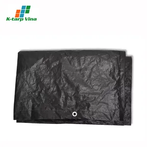 Save Cost For Furniture Cover LDPE HDPE Material 2 Sided Coating Plastic Tarpaulin