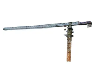 Zoomlion رافعة برجية 60m ألإتجاه مسطحة أعلى رافعة برجية