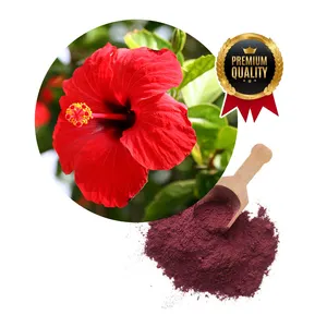100% Best Quality New Product Hibiscus Powder Organic Flower Extract to Condition hair improve quality
