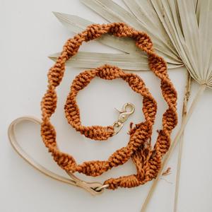 Handmade Magic Rope <b>Dog</b> <b>Leash</b> - Product Image 1