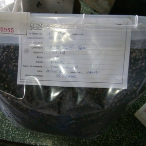 Pimienta Negra de Vietnam, el Mejor Proveedor, Buen Precio, Calidad Premium, Grano de Pimienta Natural para Exportación, Venta al por Mayor y Procesamiento de Alimentos - Product Image 1