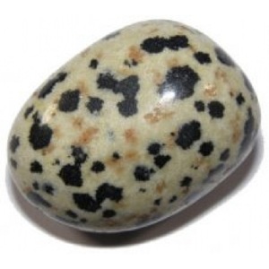 Pierres précieuses jaspe dalmatien, pierres de guérison, 6 pièces de haute qualité, vente en gros, acheter du N H Agate - Product Image 3