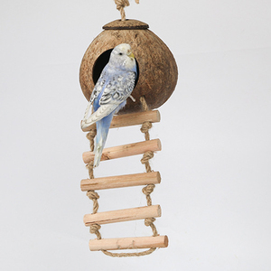 Maison d'oiseau de noix de coco avec échelle suspendue/maison d'oiseau de coquille de noix de coco avec le logo gravé de laser par Eco2go Vietnam - Product Image 3