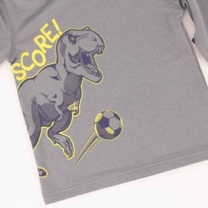 2020 Fall Baby Dinosaur Hoodie Shirts Pants Kids Sets Gray Outfit <strong>Children</strong> Toddler Active Wear Print <strong>Clothes</strong> Boy