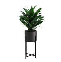 Pot de fleurs en céramique de style simple, cylindrique carré, pot de fleurs de jardin pas cher, pots de plantes, pots de bonsaï, maceta Yixing, vert violet, image