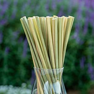 Vietnam 100% Organic Disposable Grass Straws | Grass Straws Biodegradable | Grass Straws High Quality Healthy - Product Image 2