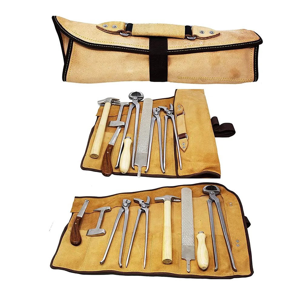 Oftbuy — Kit d'outils professionnels pour ferme à cheval, matériel vétérinaire, extraction de chaussures, râpe avec sac