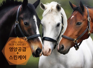 Christian Dean เครื่องสำอางเกาหลี Kbeauty,น้ำมันม้าแพลตตินั่มสำหรับผู้ชายผลิตภัณฑ์ดูแลผิว2เซ็ตช่วยต่อต้านริ้วรอยให้ความชุ่มชื้น - Product Image 4