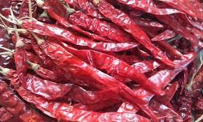 Chile rojo picante Teja de primera calidad sin tallo de India - Product Image 4