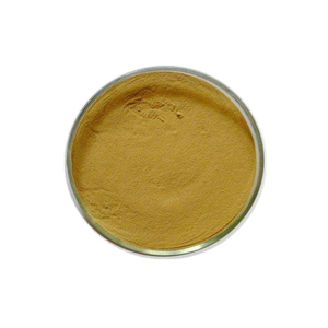 Pasokan Pabrik Suplemen Organik L-theanine Ekstrak Terbaik L-theanine Bubuk Organik L Teanine Bubuk Grosir CAS 3081-6 - Product Image 3