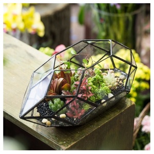 Iron & Glass terrarium