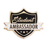 Épingle d'écusson en laiton personnalisée à revers avec logo, pour étudiants, 12 pièces