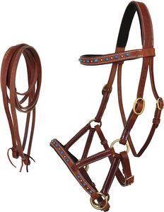Bride De Harnais De Conduite En Cuir Noir - Raccords Dorés