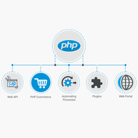 PHP 웹 및 앱 서비스 | Hire PHP Developers India | Protolabz eServices