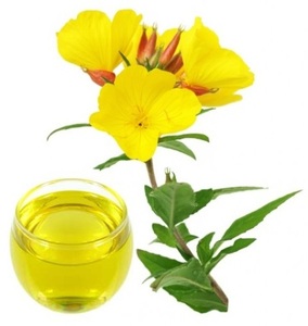 Aceite Esencial de Onagra Prensado en Frío de Alta Calidad, Certificado GMP, de Proveedores de India - Product Image 2