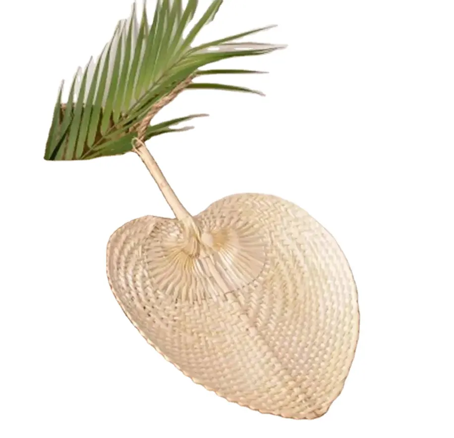 Großhandel heißer Verkauf künstliche natürliche verarbeitete getrocknete Palmblätter trockenes Fächer blatt gebleicht für Hochzeits blumen arrangieren Dekoration
