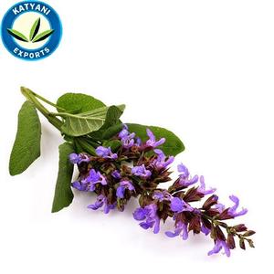 Katyani-aceite de salvia orgánico y Natural para masaje y SPA, producto nuevo, 100% - Product Image 2