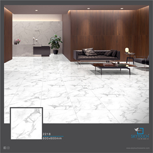 AZULEJOS DE CERÁMICA ACRISTALADOS PARA PARED PARA COCINA DE GRES DE PLATA DE ALTA CALIDAD Y BARATOS PRECIO DE COLOR DEL fabricante líder - Product Image 6
