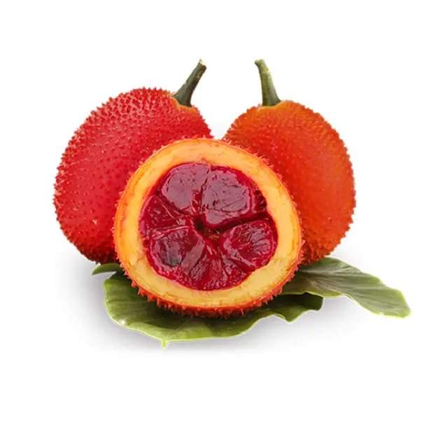 ¡Producto en oferta! Fruta Gac con los cultivos más nuevos para el mercado europeo
