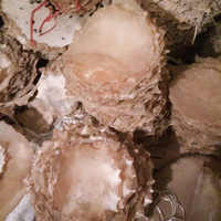 Kulit Drum Kambing Alami Putih Vellum Bodhran 18 inci untuk Perkusi Tangan Drum Bodhran Afrika